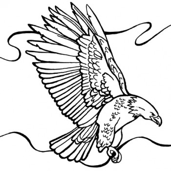 Bald Eagle coloring page Coloring Book - Animal Coloring Pages ...