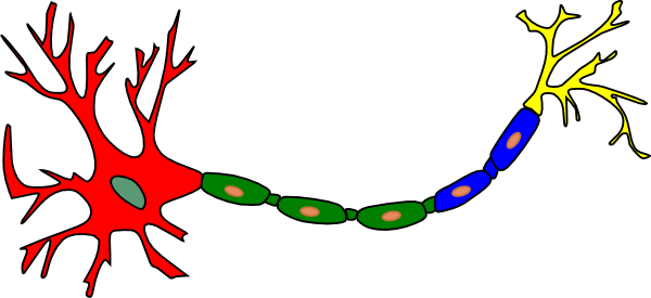 Neuron-colored Clip Art - vector clip art online ...