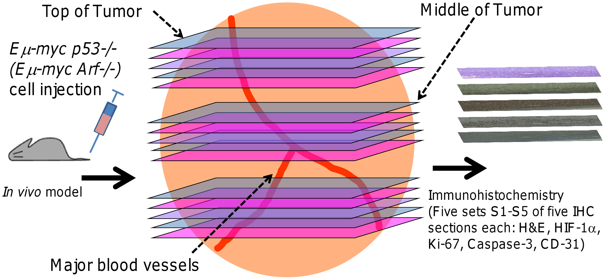 PLOS Computational Biology: An Integrated Computational ...