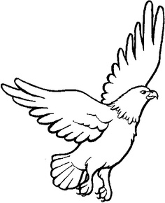 Eagle Coloring Pages