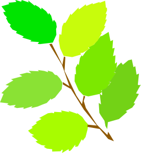 New Leaves Spring clip art Free Vector