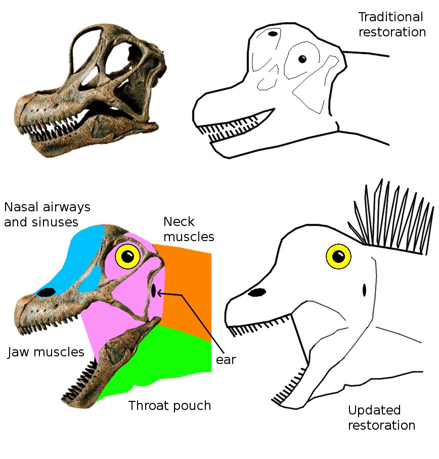 Pimp my 'pod 2: haids | Sauropod Vertebra Picture of the Week