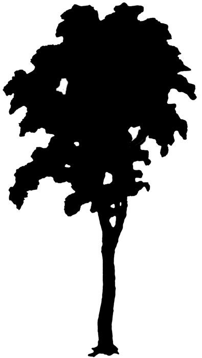 Tree Silhouette Clipart #18 - Clip Art Pin