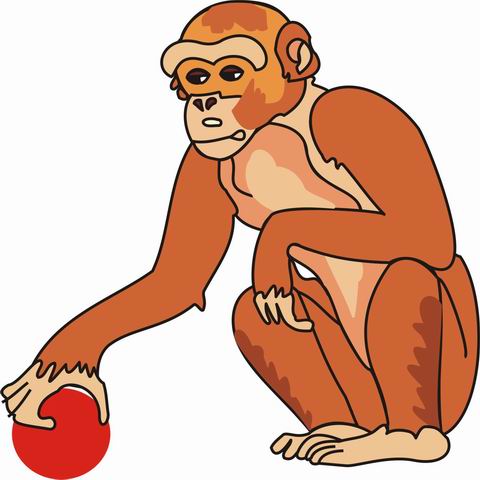 Female Monkey Pictures - ClipArt Best