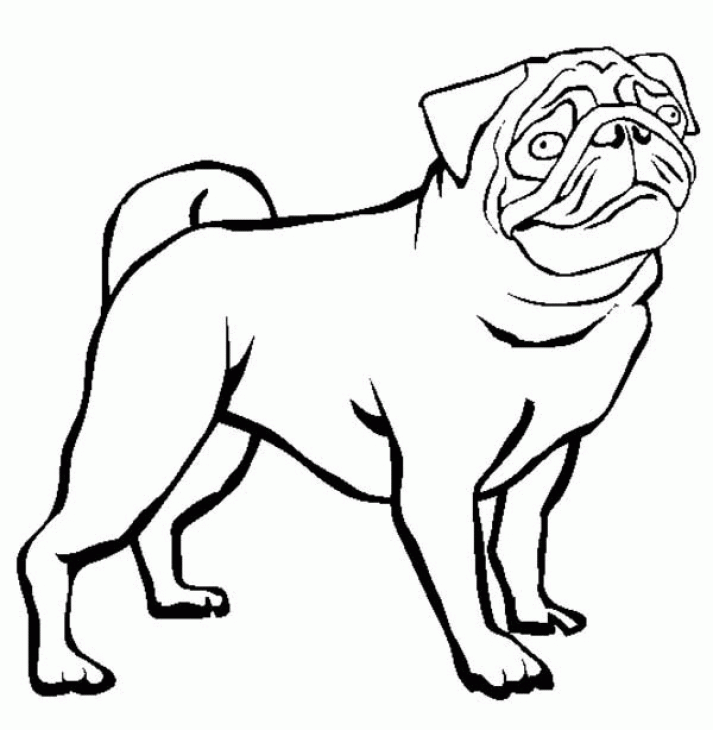 Printable Pug Coloring Pages - AZ Coloring Pages