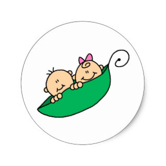 Pea Pod Stickers | Zazzle