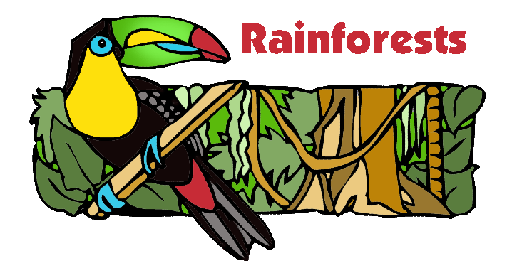 Rain forest clipart