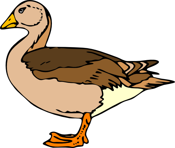 Duck Vector Art