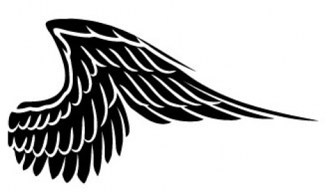 Wings design in vector format