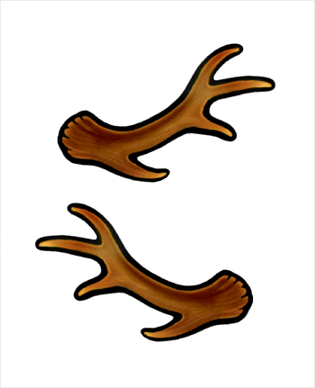 Antler hair clips