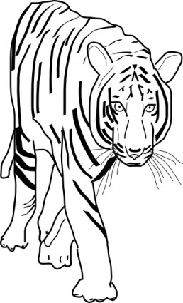 B W Harimau Clip Art-vektor Clip Art-vektor Gratis Download Gratis