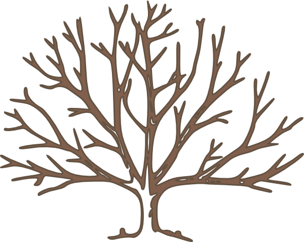 Bare Tree Silhouette - ClipArt Best