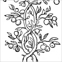 fruit_tree_branches_clip_art_ ...