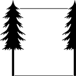 Redwood Tree Illustration - ClipArt Best