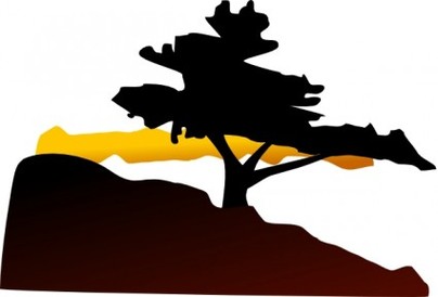 Acacia Tree Clip Art Clipart - Free to use Clip Art Resource