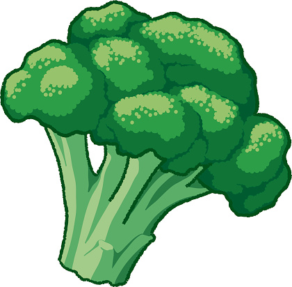 Broccoli Clip Art, Vector Images & Illustrations