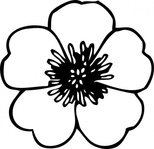 White Jasmine Flower Vector - Download 1,000 Vectors (Page 1)