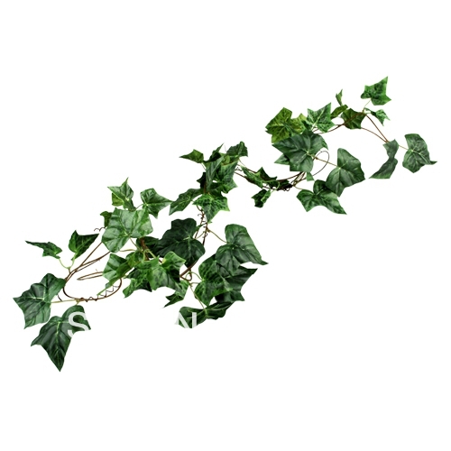 Ivy Vine Clip Art - ClipArt Best