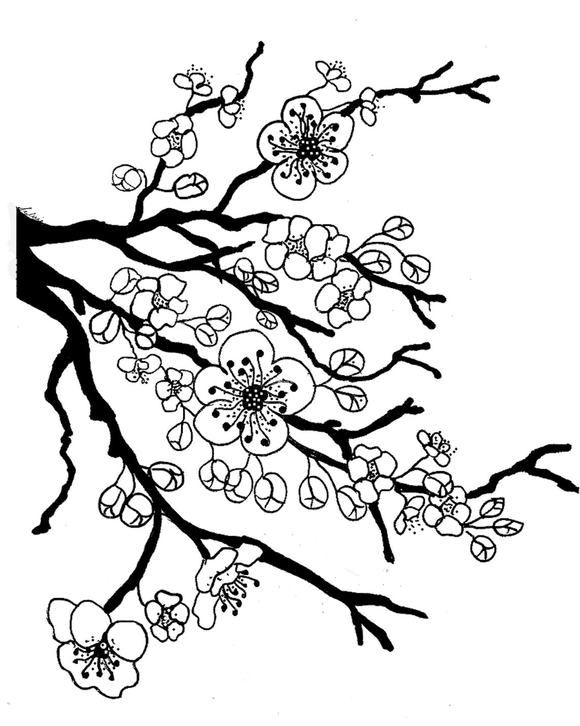 Cherry Blossom Coloring Pages | Printable Coloring Pages