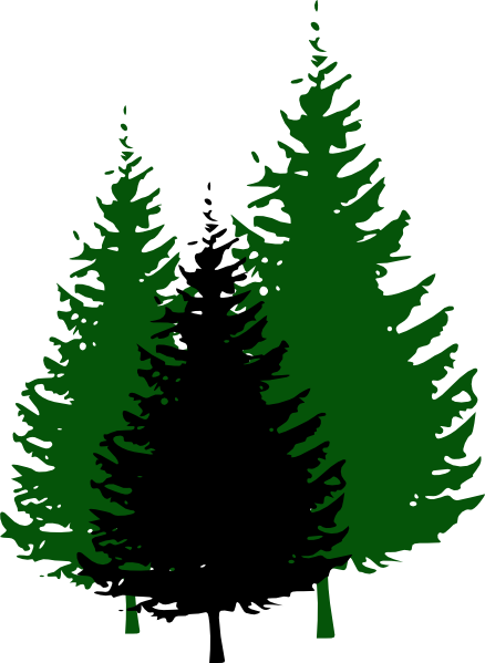 Evergreen Tree Clip Art - ClipArt Best