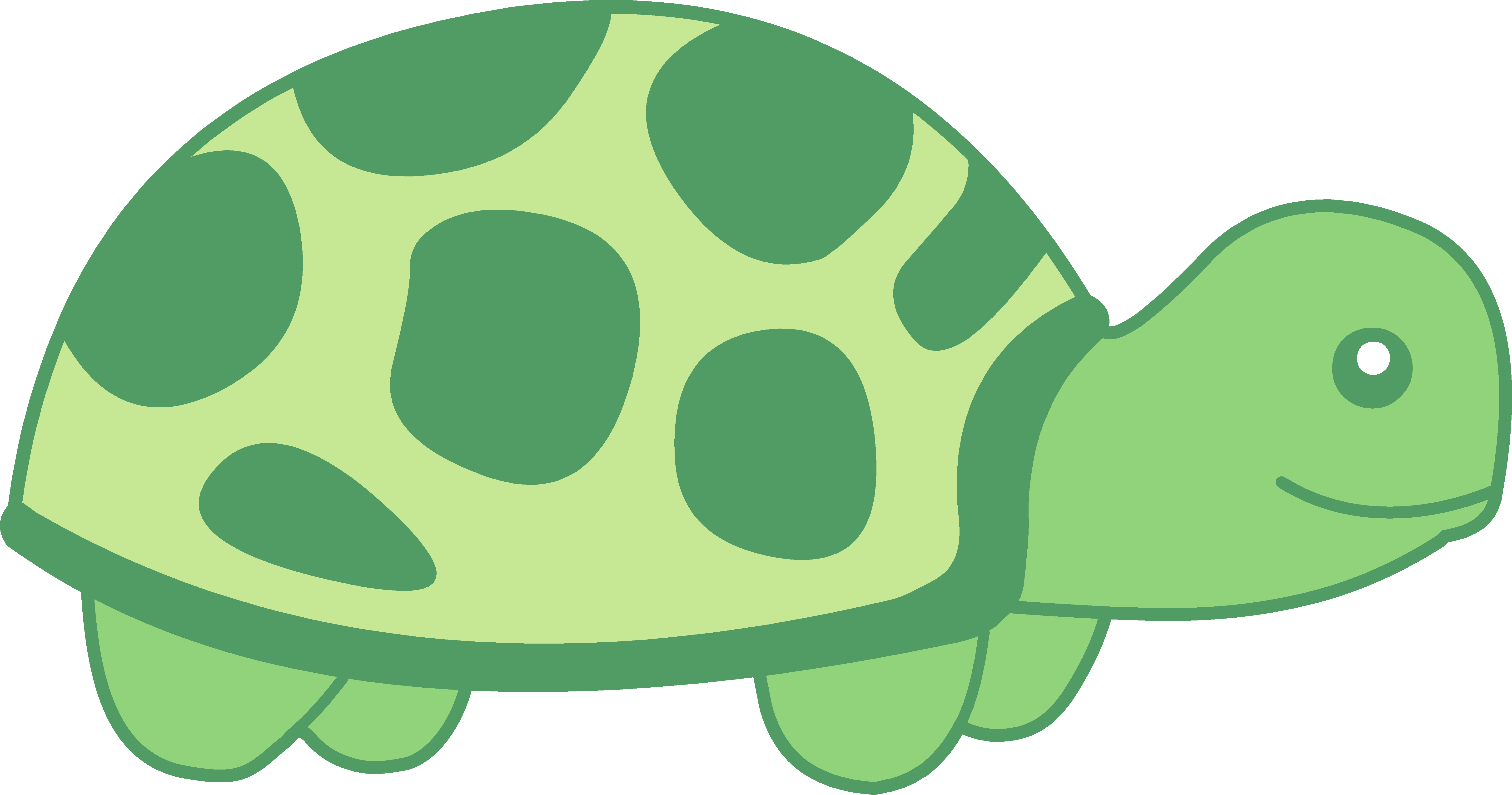 Turtle Clip Art - Tumundografico