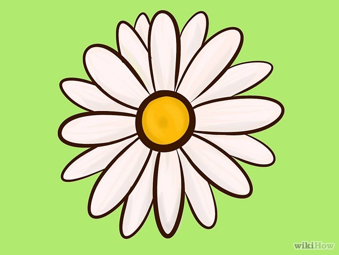 9 Ways to Draw a Flower - wikiHow