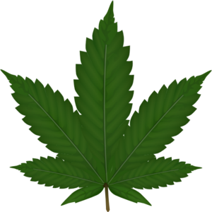 Clipart pot leaf