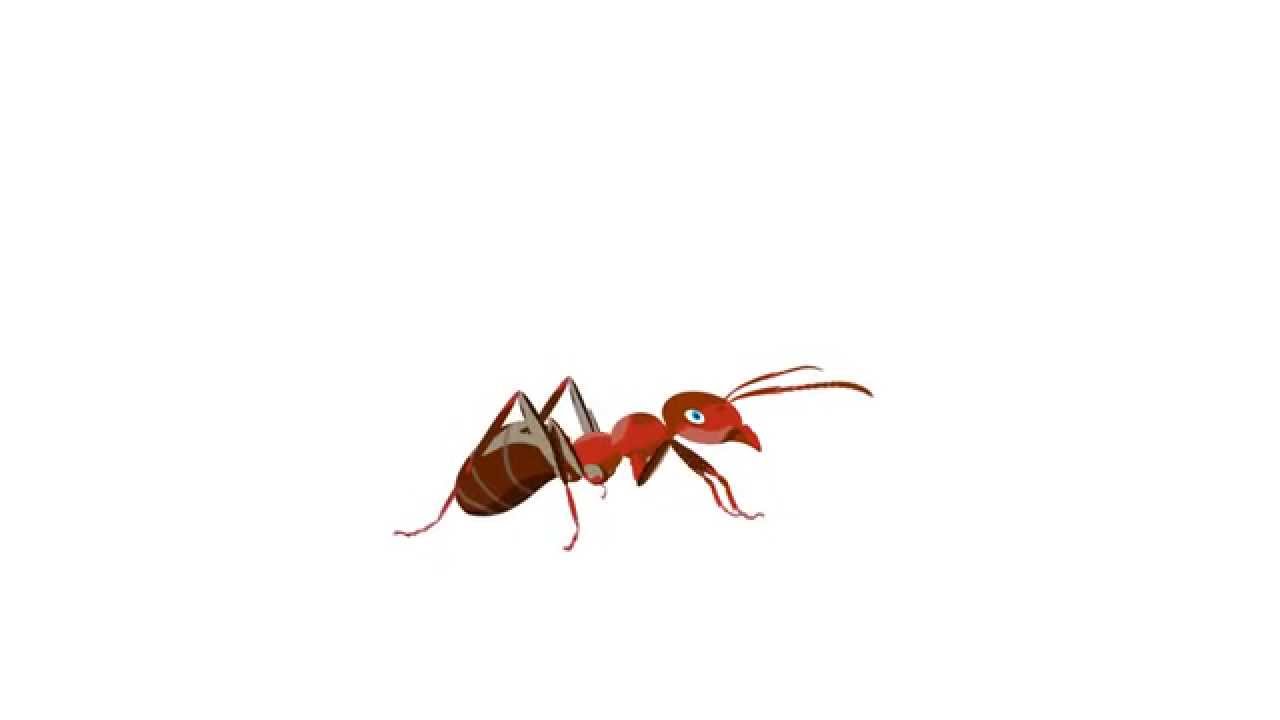 ant animation - YouTube