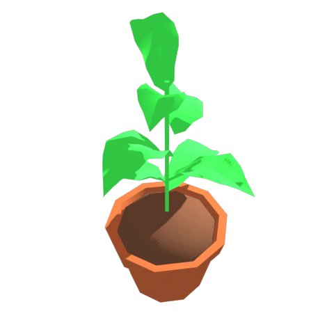 plant gif tumblr