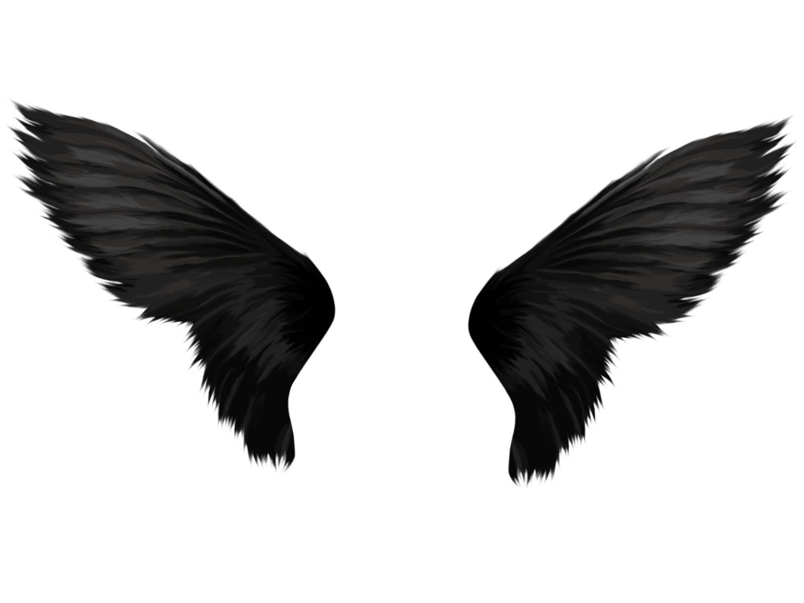 Black wings backgrounds for Powerpoint Templates PPT Backgrounds ...