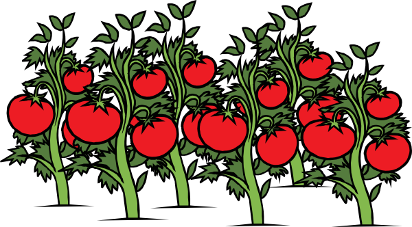 Red Tomato Plant Clipart