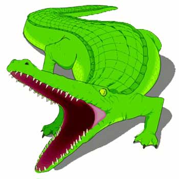 Alligator Clip Art 071910» ClipArt