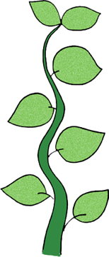 beanstalk.gif