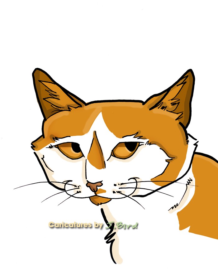 Cat Caricature