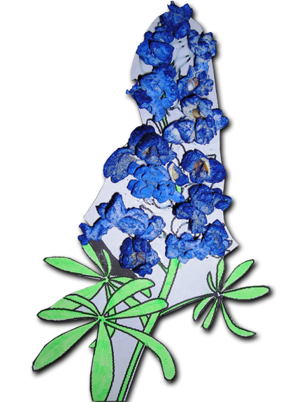 Bluebonnet Flower Clipart