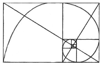 Fibonacci Spiral Vector - ClipArt Best