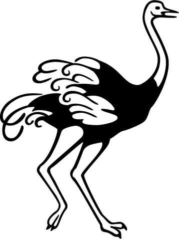 Running Ostrich Clip Art, Vector Images & Illustrations