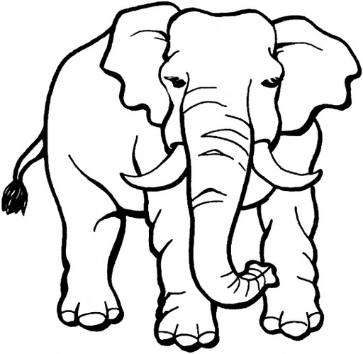 Elephant Drawings For Kids Clipart - Free to use Clip Art Resource