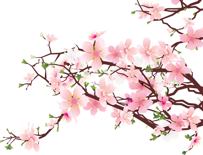 Blossoms Clipart | Free Download Clip Art | Free Clip Art | on ...