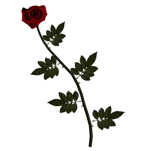 DeviantArt: More Like Black Rose Vine 1 by TexelGirl-Stock