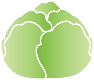 Lettuce Clipart Image - Simple, attractive drawing of a head of ...