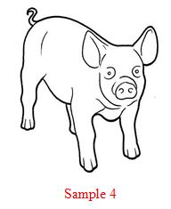 How to draw a piglet/