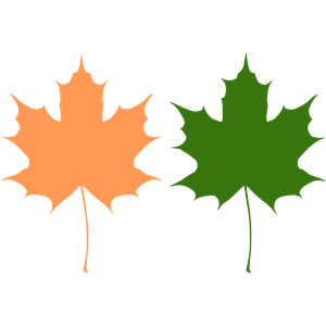 Maple Leaf Clipart Cliparts Of Maple Leaf Free Download Wmf Eps ...