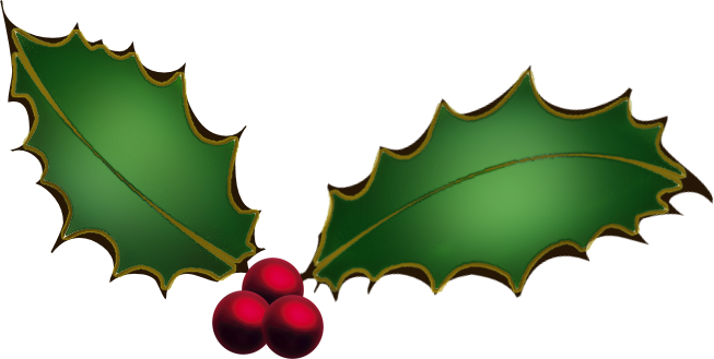 Merry Christmas from the Canopy to Cures team! | Canopy to Cures