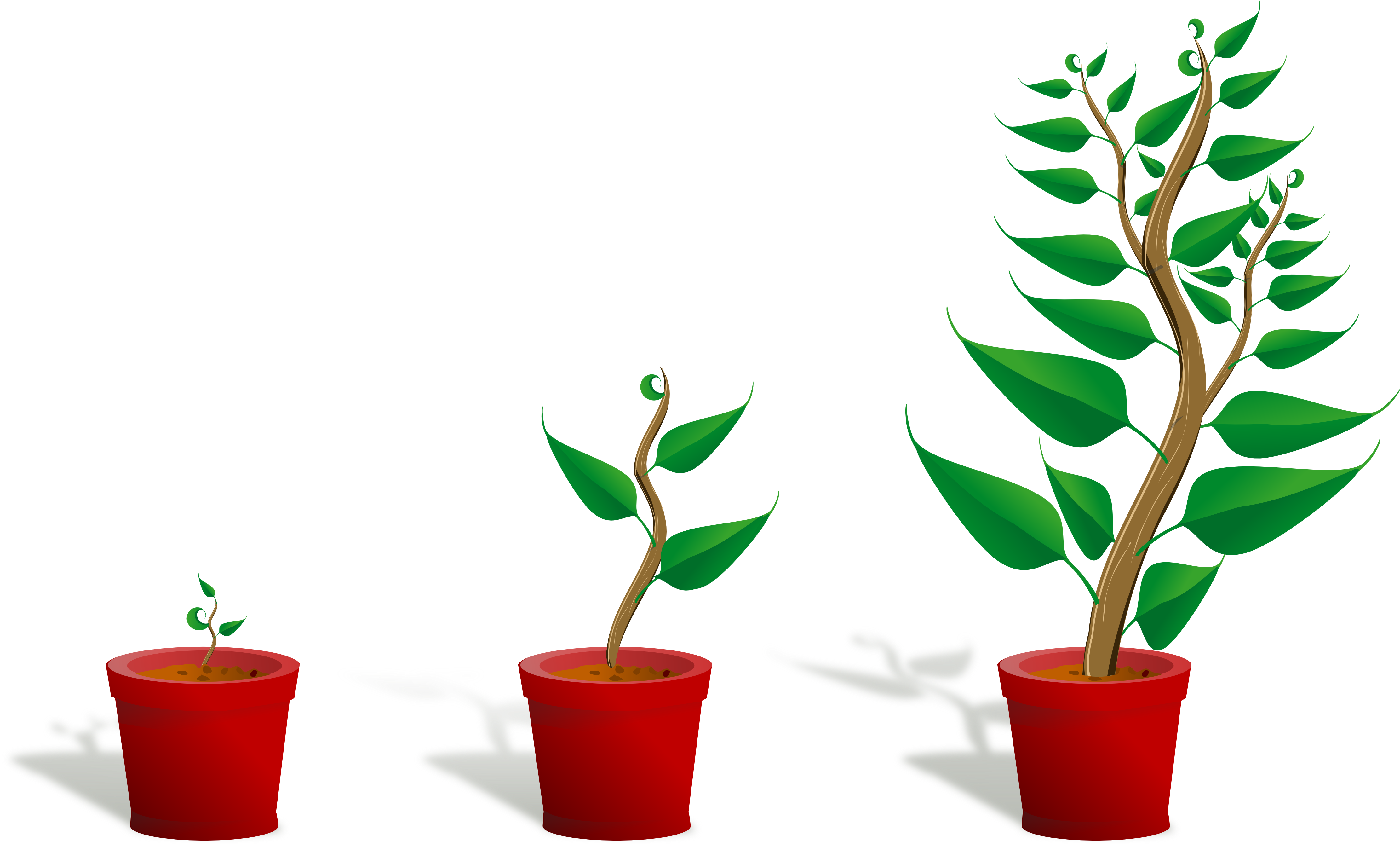 Growing clipart