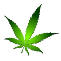 Marijuana Leaf Pictures, Images & Photos | Photobucket