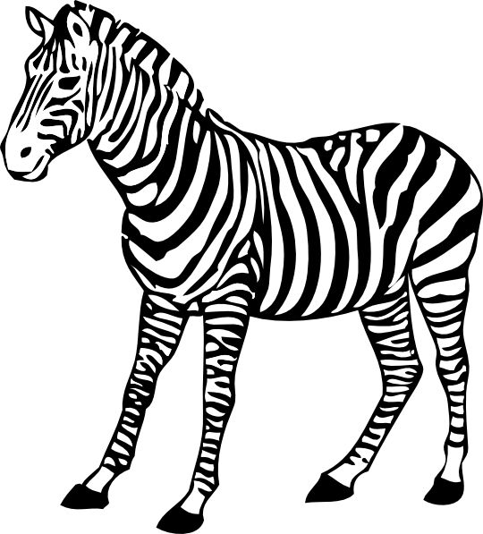 African animals, Zebras and Vector illustrations
