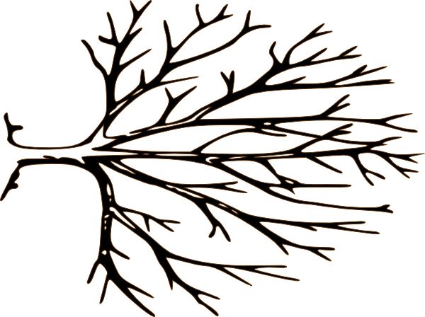 Best Bare Tree Clip Art #5150 - Clipartion.com