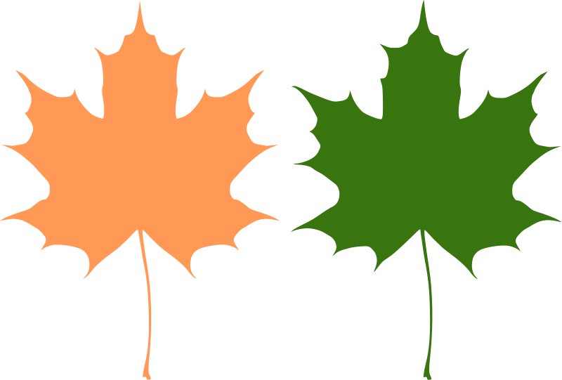 Maple Leaf Vector | Free Download Clip Art | Free Clip Art | on ...