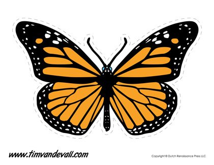 Printable Butterfly Templates and Butterfly Shapes